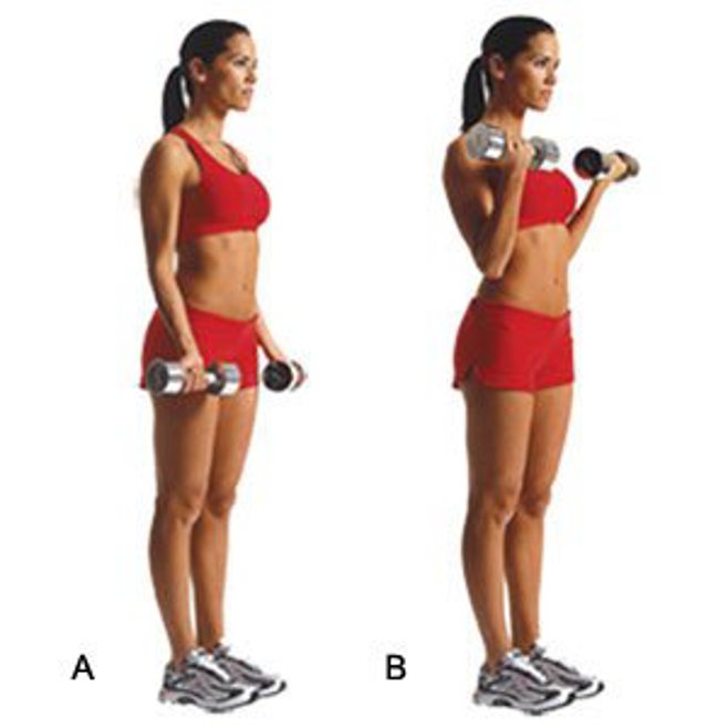 Bicep curls. alert1 medical alert systems Bicep curls. alert1 medical alert systems